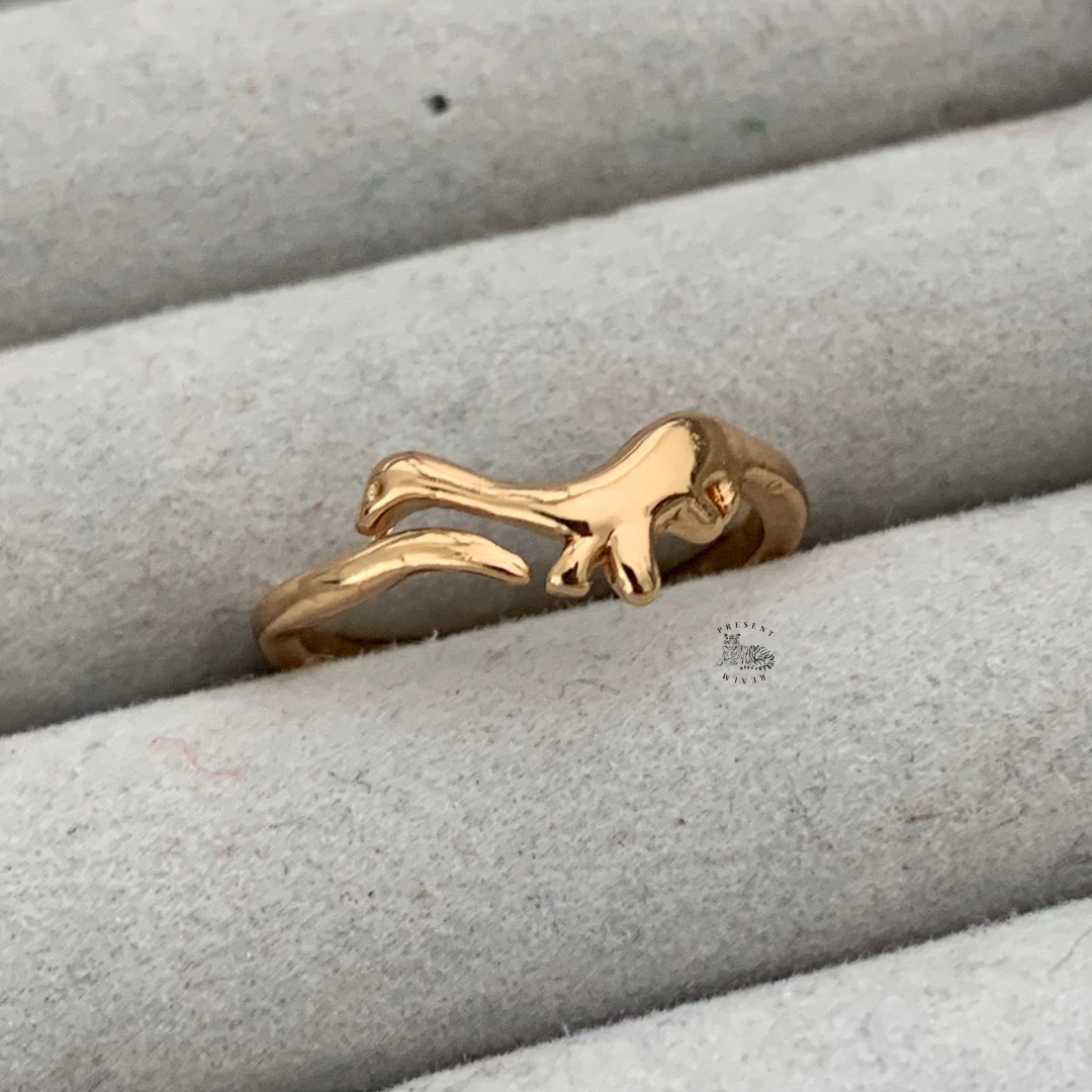 Dinosaur Rings
