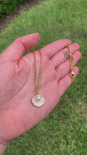 Load and play video in Gallery viewer, Seashell Necklace