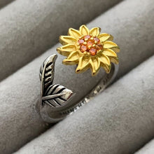 Load image into Gallery viewer, Present Realm Fidget Rings